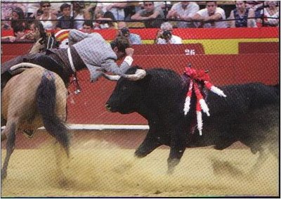 vaquera2.JPG (41.8 KiB) Osservato 1134 volte vaquera2.JPG