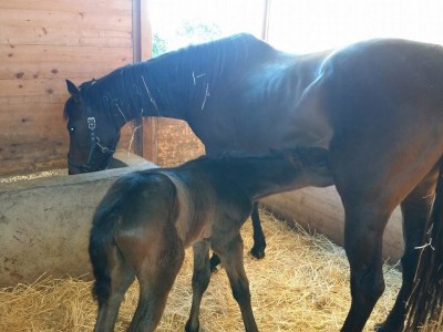 Rocky stamattina ^_^ / 1958480_10203090726090528_374317547_n.jpg 1958480_10203090726090528_374317547_n.jpg