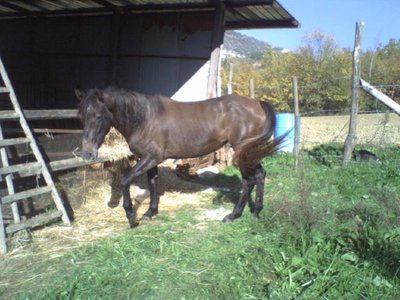 asia.. / Foto0019..jpg Foto0019..jpg