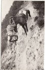 images (1).jpg images (1).jpg