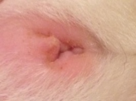 foto 3 to.JPG foto 3 to.JPG