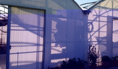 immagine serra 1.jpg (85.37 KiB) Osservato 735 volte immagine serra 1.jpg