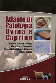 patologia-ovina.jpg patologia-ovina.jpg