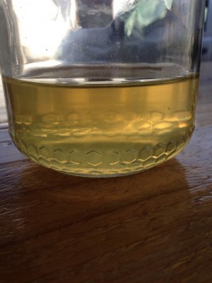 IMG_5334.JPG (108.2 KiB) Osservato 680 volte IMG_5334.JPG