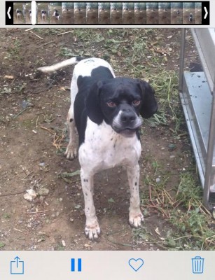 1a75a45d21e3ddb7f60c673bf949e74f8c392ca948e74465ea1d32f2328126ae.jpg (102.68 KiB) Osservato 633 volte 1a75a45d21e3ddb7f60c673bf949e74f8c392ca948e74465ea1d32f2328126ae.jpg