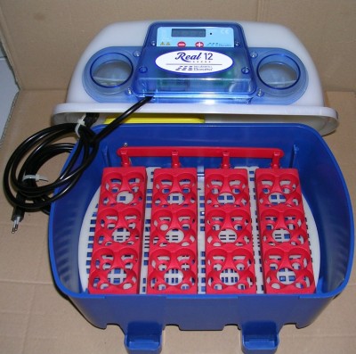 B1R.jpg (203.07 KiB) Osservato 937 volte B1R.jpg