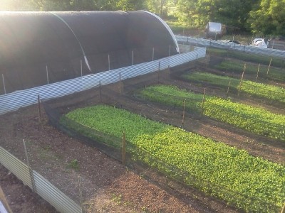 IMG141.jpg (183.61 KiB) Osservato 1089 volte IMG141.jpg