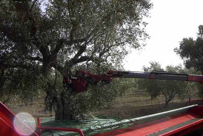 Foto 3.jpg (72.89 KiB) Osservato 968 volte Foto 3.jpg