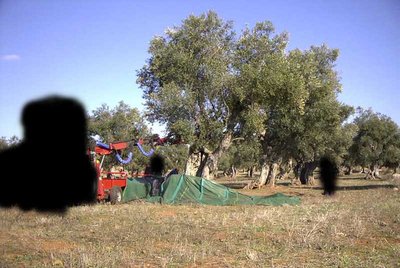 Foto 11.JPG (81.47 KiB) Osservato 1011 volte Foto 11.JPG