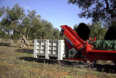 Foto 12.JPG (95.67 KiB) Osservato 968 volte Foto 12.JPG