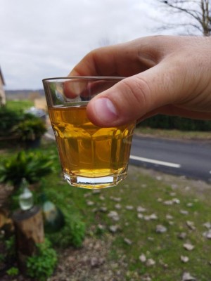 IMG_20230102_111715.jpg (65.31 KiB) Osservato 3410 volte IMG_20230102_111715.jpg