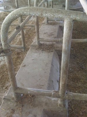 bandiera 3.jpg (88.6 KiB) Osservato 773 volte bandiera 3.jpg