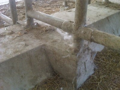 bandiera 2.jpg (86.91 KiB) Osservato 773 volte bandiera 2.jpg