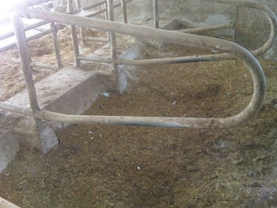 bandiera.jpg (100.77 KiB) Osservato 773 volte bandiera.jpg