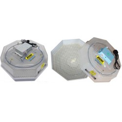 thumbnail.jpg thumbnail.jpg