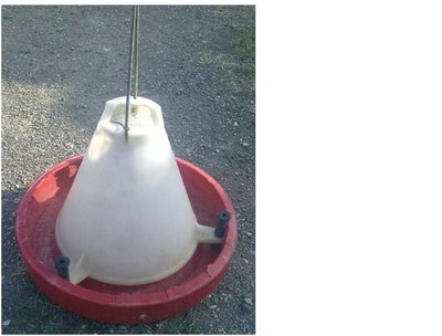 mangiatoia INT.JPG (37.4 KiB) Osservato 982 volte mangiatoia INT.JPG