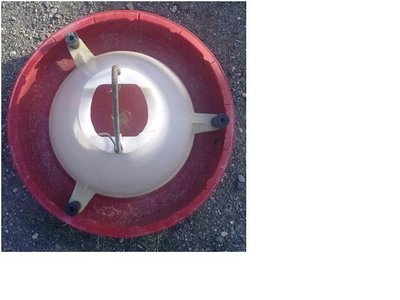 mangiatoia alto int.JPG (32.67 KiB) Osservato 982 volte mangiatoia alto int.JPG