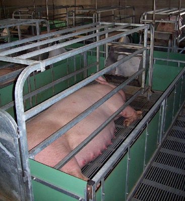 parto1.jpg (136.95 KiB) Osservato 641 volte parto1.jpg