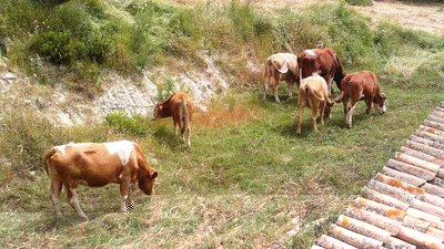 3.jpg (83.97 KiB) Osservato 1892 volte 3.jpg