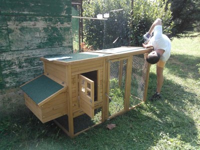 io e pollaio.jpg (135.85 KiB) Osservato 1431 volte io e pollaio.jpg