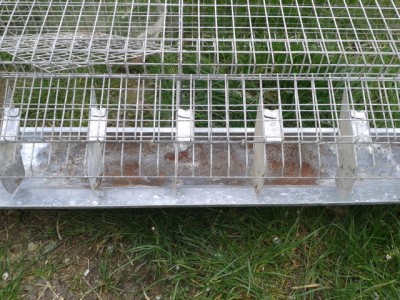 20140316_152405.jpg (239.47 KiB) Osservato 1222 volte 20140316_152405.jpg