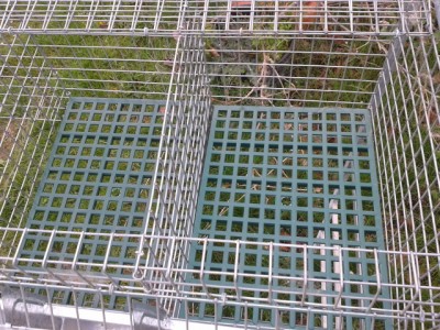 20140316_152417.jpg (258.31 KiB) Osservato 1222 volte 20140316_152417.jpg