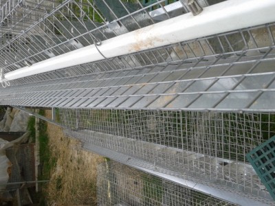 20140316_152555.jpg (193.13 KiB) Osservato 1266 volte 20140316_152555.jpg