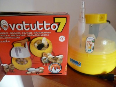 P1000209.JPG (74.57 KiB) Osservato 587 volte P1000209.JPG