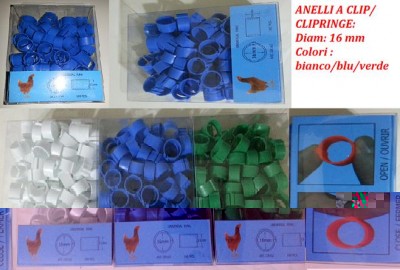 VOLANTINO 16 MM.JPG (51.73 KiB) Osservato 620 volte VOLANTINO 16 MM.JPG