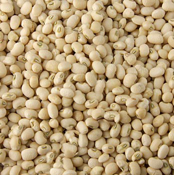 risina.jpg risina.jpg