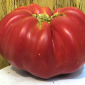 belmonte.jpg belmonte.jpg