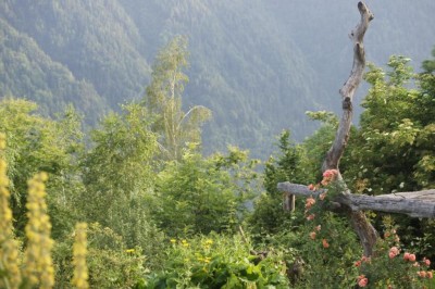 K1024_DSC01367.JPG (115.41 KiB) Osservato 907 volte K1024_DSC01367.JPG