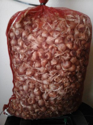 20160629_144138.jpg (94.02 KiB) Osservato 882 volte 20160629_144138.jpg