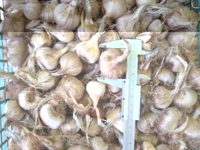 20160703_104932.jpg (122.92 KiB) Osservato 930 volte 20160703_104932.jpg