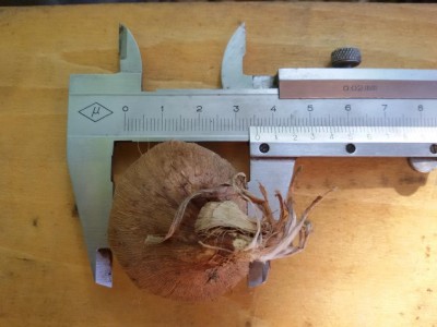 20160703_100301.jpg (74.26 KiB) Osservato 866 volte 20160703_100301.jpg