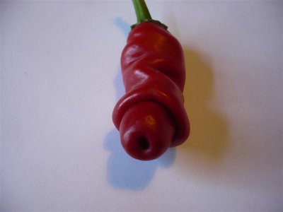 pepper 1b.JPG