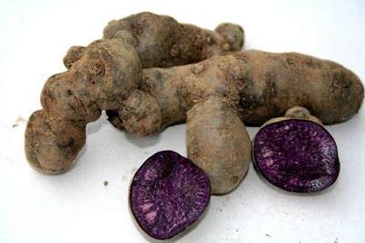 Patata VITELOTTE / patata viola.jpg patata viola.jpg