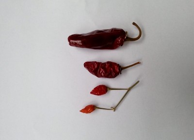 20140405_135322 (800x575).jpg (99.61 KiB) Osservato 550 volte 20140405_135322 (800x575).jpg