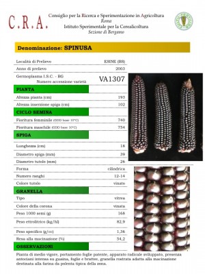Slide1.jpg (145.71 KiB) Osservato 1836 volte Slide1.jpg