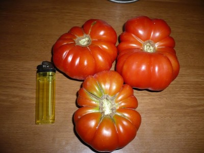 P1040741.JPG (112.05 KiB) Osservato 691 volte P1040741.JPG