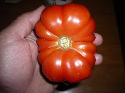 P1040743.JPG (88.82 KiB) Osservato 691 volte P1040743.JPG