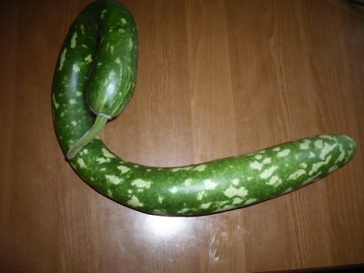 P1040243.JPG P1040243.JPG