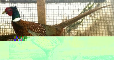 20150418_132702-1(2).jpg (131.67 KiB) Osservato 602 volte 20150418_132702-1(2).jpg