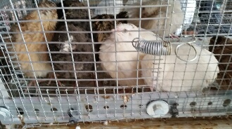 rps20150609_145951_092.jpg rps20150609_145951_092.jpg