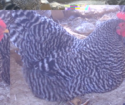 SDC13153.JPG (144.18 KiB) Osservato 3529 volte SDC13153.JPG