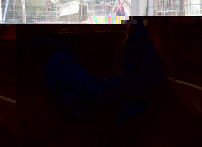 SDC13198.JPG (196.61 KiB) Osservato 827 volte SDC13198.JPG