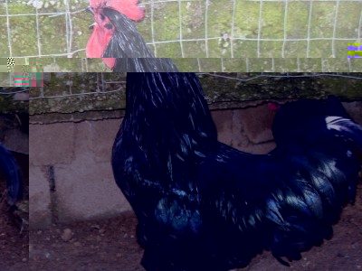 SDC13200.JPG (216.73 KiB) Osservato 826 volte SDC13200.JPG