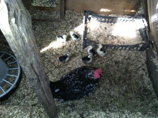 1460494738384.jpg 1460494738384.jpg