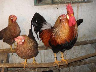 763597450.jpg 763597450.jpg