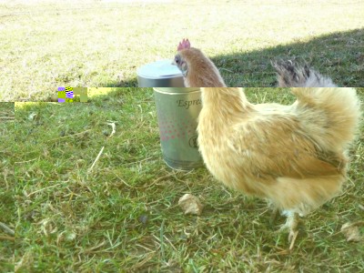 P1040371 (FILEminimizer).jpg (140.51 KiB) Osservato 1271 volte P1040371 (FILEminimizer).jpg